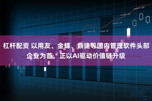 杠杆配资 以用友、金蝶、鼎捷等国内管理软件头部企业为首，正以AI驱动价值链升级
