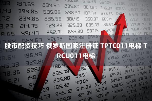 股市配资技巧 俄罗斯国家注册证 TPTC011电梯 TRCU011电梯